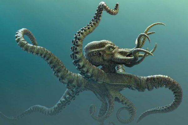 Kraken darkmarket