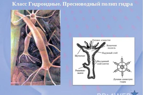 Кракен магазин kraken clear com