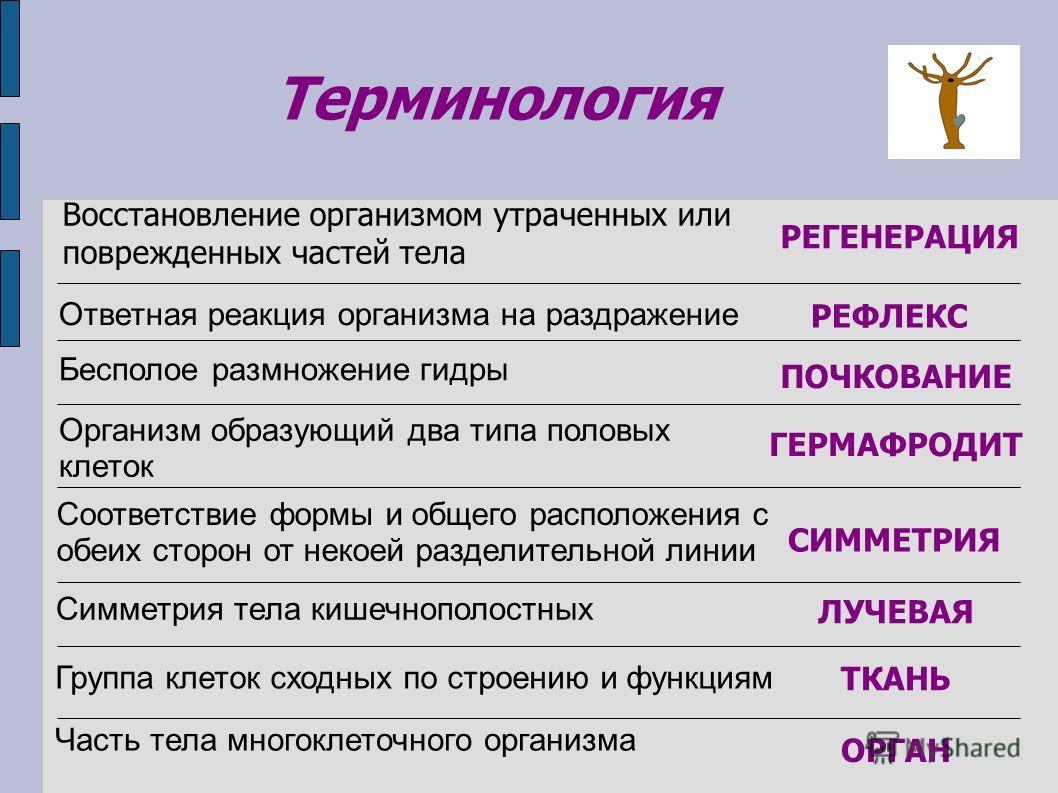 Кракен онион не работает